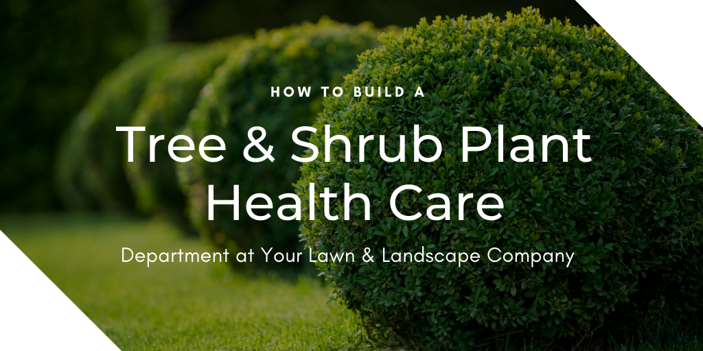 Building a Tree and Shrub Plant Health Care Department at Your Lawn